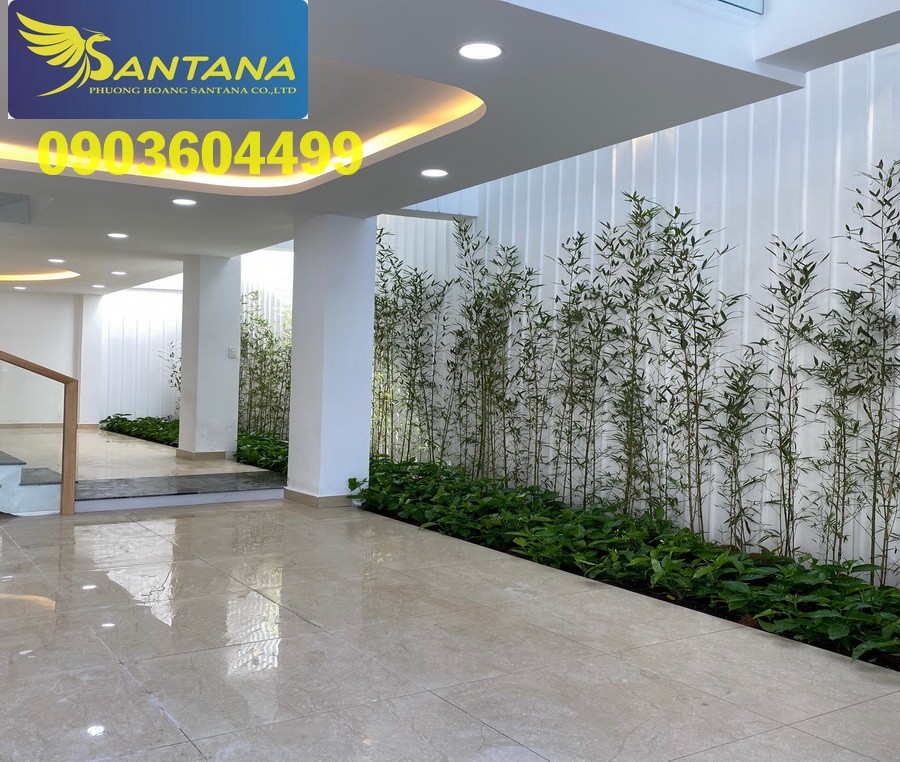 TUYỆT PHẨM Nhà Phố VƯỜN 3 lầu (5,5x13) khu cao cấp mặt tiền Lê Trực